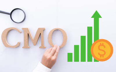 Finding huge value in part-time fractional CMO services. 